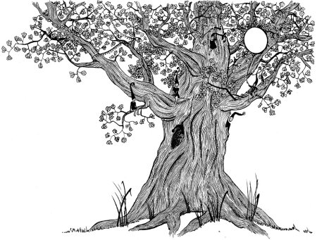 Дерево с дуплом раскраска