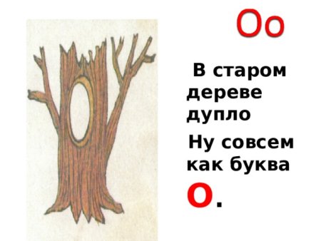 Филин в дупле раскраска для детей