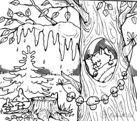 Дерево с дуплом раскраска для детей