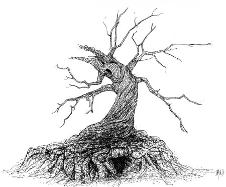 Дерево с дуплом раскраска