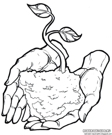 Экология раскраска