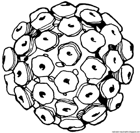 Вирус раскраска