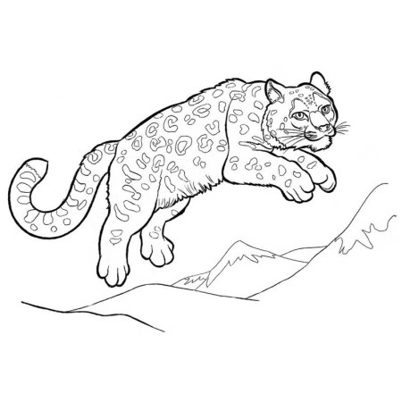 Снежный Барс раскраска для детей