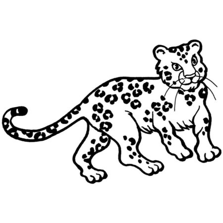 Разукрашки снежный Барс