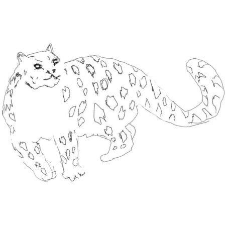 Барс раскраска