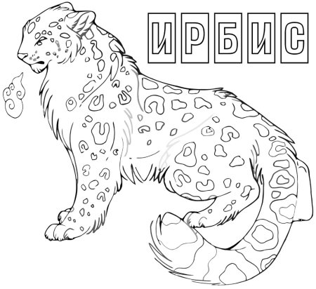 Снежный Барс Ирбис рисунок