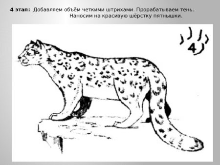 Гепард бежит раскраска