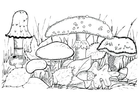 Рисунок красота осени раскраска