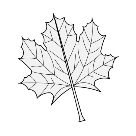 Лист клена шаблон