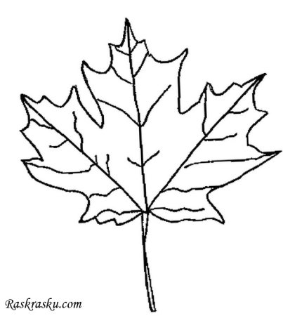 Кленовый лист раскраска для детей