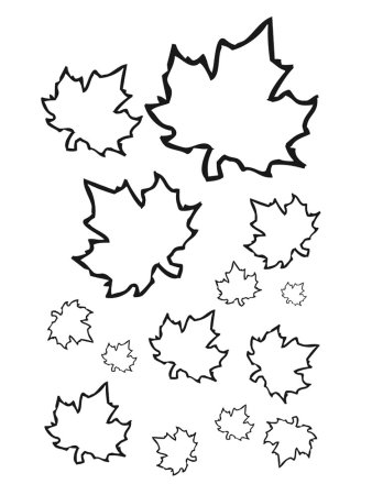 Клен остролистный рисунок