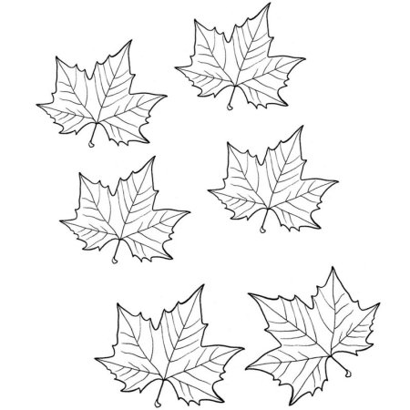 Кленовый лист рисунок