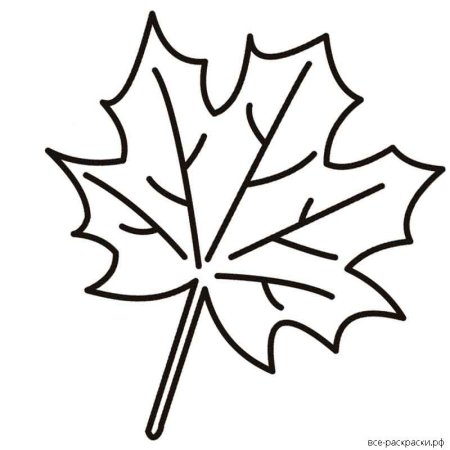 Лист клена раскраска