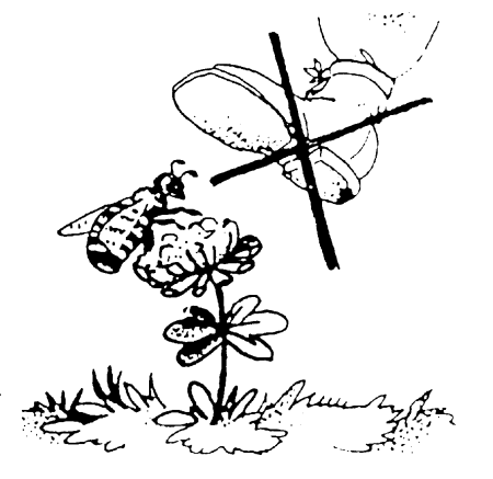 Берегите природу раскраска