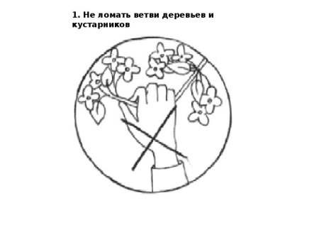 Знаки природы разукрасить