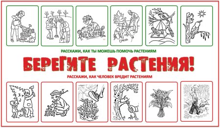 Плакат берегите растения