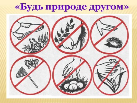 Берегите природу знаки