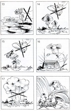 Раскраска правила поведения в природе для детей