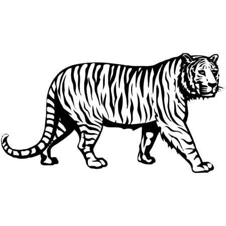 Тигр контур