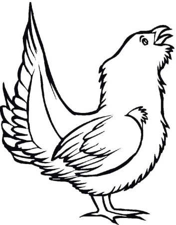 Глухарь раскраска