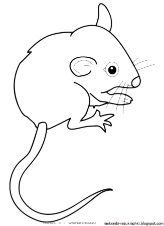 Маленькая мышка раскраска