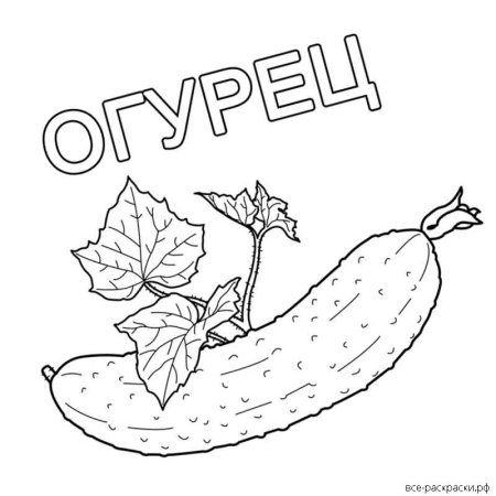 Огурец раскраска для детей