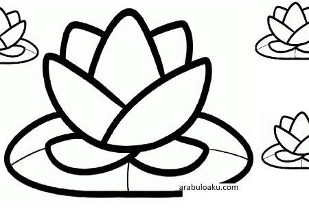 Кувшинка белая раскраска