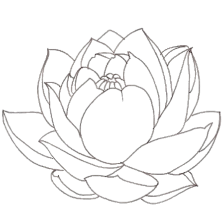 Лотос раскраска