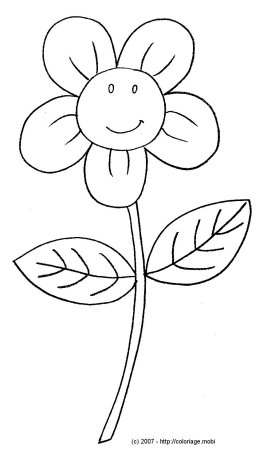 Раскраски цветов