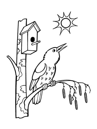 Кормушка для птиц раскраска