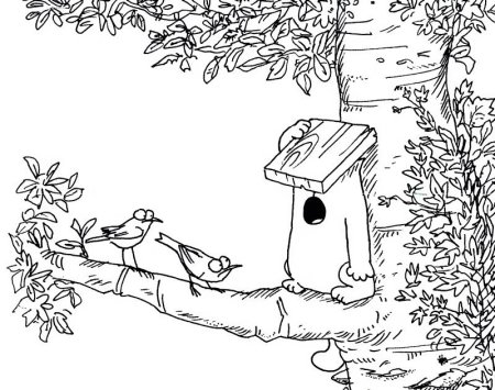 Скворечник для раскрашивания детям