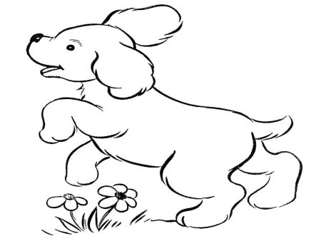 Собачка раскраска для детей