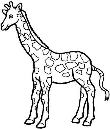 Жираф. Раскраска
