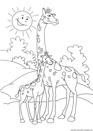 Веселый Жираф раскраска