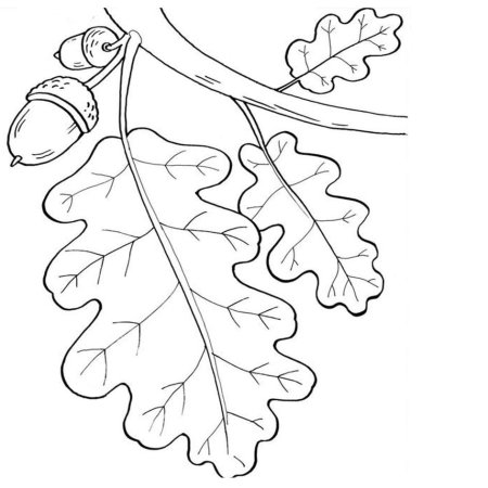 Дерево раскраска