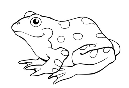 Лягушка для рисования