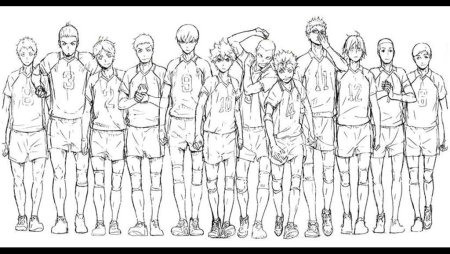 Команда Карасуно в полный рост