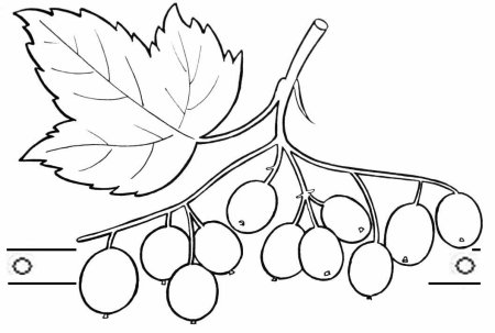 Боярышник стебель прямостоячий