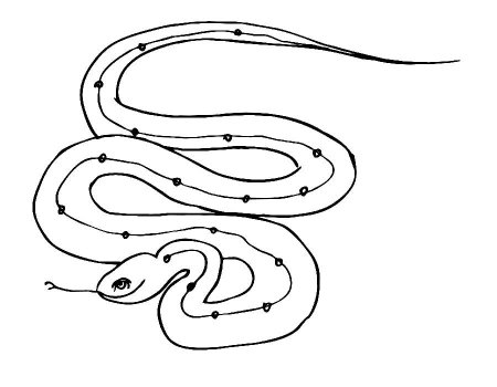 Змея раскраска для детей