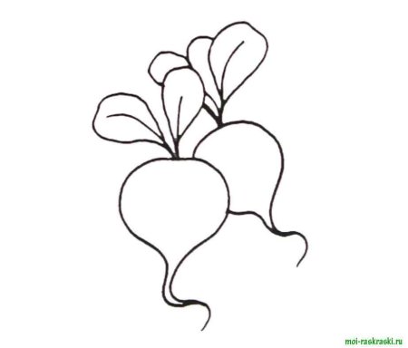 Свекла раскраска