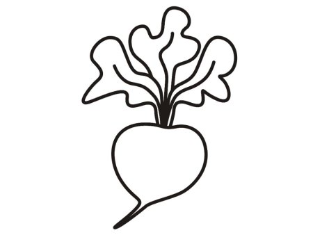 Редька раскраска для детей