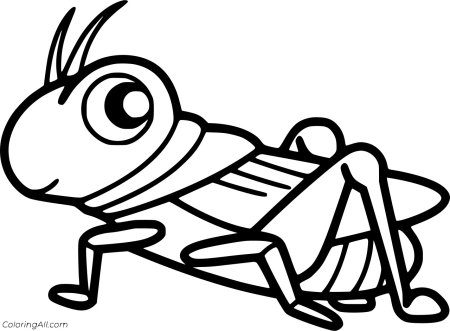 Шаблон кузнечика для рисования