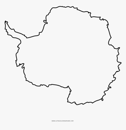 Раскраска животные Антарктиды для детей