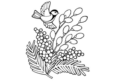 Верба раскраска