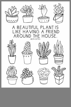 Раскраски антистресс растения кактусы