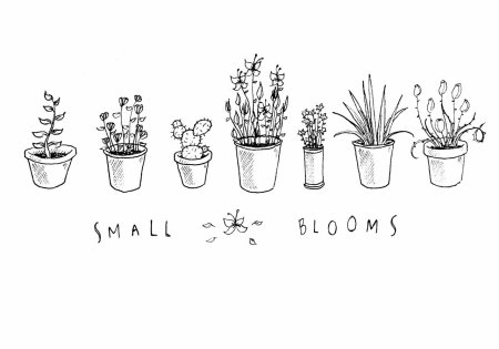 Цветы в горшках для скетчбука