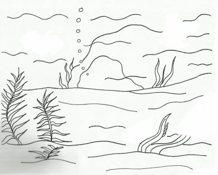 Морское дно раскраска для малышей