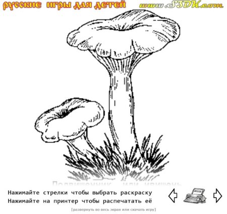 Раскраска гриб Лисичка гриб для детей