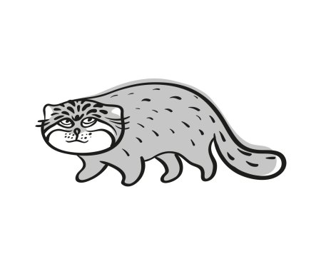 Манул раскраска