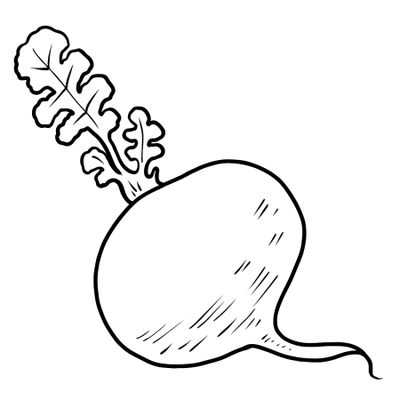 Редька раскраска для детей